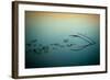 Close Up of Lake-Will Wilkinson-Framed Photographic Print