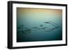 Close Up of Lake-Will Wilkinson-Framed Photographic Print