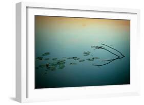 Close Up of Lake-Will Wilkinson-Framed Photographic Print