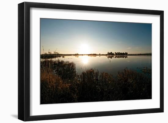 Close Up of Lake-Will Wilkinson-Framed Photographic Print