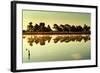 Close Up of Lake-Will Wilkinson-Framed Photographic Print