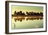 Close Up of Lake-Will Wilkinson-Framed Photographic Print