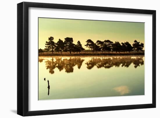 Close Up of Lake-Will Wilkinson-Framed Photographic Print