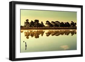 Close Up of Lake-Will Wilkinson-Framed Photographic Print