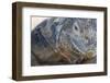 Close-Up of Land Iguana-Paul Souders-Framed Photographic Print