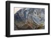 Close-Up of Land Iguana-Paul Souders-Framed Photographic Print