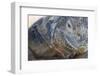 Close-Up of Land Iguana-Paul Souders-Framed Photographic Print