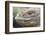 Close-Up of Land Iguana-Paul Souders-Framed Photographic Print