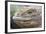 Close-Up of Land Iguana-Paul Souders-Framed Photographic Print