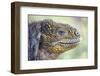 Close-Up of Land Iguana-Paul Souders-Framed Photographic Print