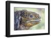 Close-Up of Land Iguana-Paul Souders-Framed Photographic Print