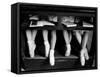 Close Up of Legs of Young Ballerinas in Toe Shoes under Desk at La Scala Ballet School-Alfred Eisenstaedt-Framed Stretched Canvas