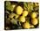 Close-Up of Lemons in the Market, Menton, Provence, Cote d'Azur, France-Sergio Pitamitz-Stretched Canvas