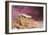 Close-up of Leopard gecko (Eublepharis macularius)-null-Framed Photographic Print