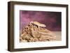 Close-up of Leopard gecko (Eublepharis macularius)-null-Framed Photographic Print