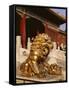 Close-Up of Lion Statue, Imperial Palace, Forbidden City, Beijing, China-Adina Tovy-Framed Stretched Canvas