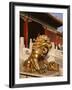 Close-Up of Lion Statue, Imperial Palace, Forbidden City, Beijing, China-Adina Tovy-Framed Photographic Print