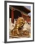 Close-Up of Lion Statue, Imperial Palace, Forbidden City, Beijing, China-Adina Tovy-Framed Photographic Print