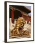 Close-Up of Lion Statue, Imperial Palace, Forbidden City, Beijing, China-Adina Tovy-Framed Photographic Print