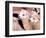 Close-up of Llamas, Cuzco, Peru-Bill Bachmann-Framed Photographic Print