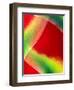 Close-up of Lobster Claw Flower, Maui, Hawaii, USA-Charles R. Needle-Framed Photographic Print