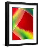 Close-up of Lobster Claw Flower, Maui, Hawaii, USA-Charles R. Needle-Framed Photographic Print