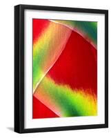 Close-up of Lobster Claw Flower, Maui, Hawaii, USA-Charles R. Needle-Framed Photographic Print