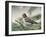 Close-up of Male Cassin's Finch in Pine Tree, Kamloops, British Columbia, Canada-Arthur Morris-Framed Photographic Print
