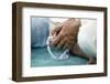 Close-up of man praying in a mosque with Tasbih (prayer beads), Masjid Al Rahim Mosque-Godong-Framed Photographic Print