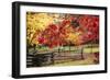 Close-up of maple leaves, Bainbridge Island, Kitsap County, Washington State, USA-Panoramic Images-Framed Photographic Print