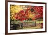 Close-up of maple leaves, Bainbridge Island, Kitsap County, Washington State, USA-Panoramic Images-Framed Photographic Print