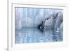 Close-Up of Margerie Glacier, Glacier Bay National Park, Alaska, USA-Jaynes Gallery-Framed Photographic Print