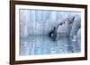 Close-Up of Margerie Glacier, Glacier Bay National Park, Alaska, USA-Jaynes Gallery-Framed Photographic Print