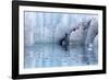 Close-Up of Margerie Glacier, Glacier Bay National Park, Alaska, USA-Jaynes Gallery-Framed Photographic Print