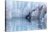 Close-Up of Margerie Glacier, Glacier Bay National Park, Alaska, USA-Jaynes Gallery-Stretched Canvas