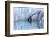 Close-Up of Margerie Glacier, Glacier Bay National Park, Alaska, USA-Jaynes Gallery-Framed Photographic Print