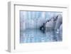 Close-Up of Margerie Glacier, Glacier Bay National Park, Alaska, USA-Jaynes Gallery-Framed Photographic Print