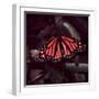Close-Up of Monarch Butterfly-Andreas Feininger-Framed Photographic Print