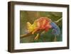 Close-Up of Multicolored Chameleon on Tree Branch-DawidKasza-Framed Photographic Print