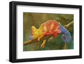 Close-Up of Multicolored Chameleon on Tree Branch-DawidKasza-Framed Photographic Print