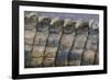 Close-Up of Nile Crocodile Scales-null-Framed Photographic Print