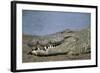 Close-Up of Nile Crocodile-null-Framed Photographic Print