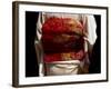 Close-up of Obi, Silk Sash Worn with Kimono, Kyoto, Japan-Nancy & Steve Ross-Framed Photographic Print