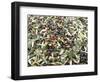 Close-Up of Olives Harvested at Frantoio Galantino, Bisceglie, Puglia, Italy-Michael Newton-Framed Photographic Print