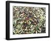 Close-Up of Olives Harvested at Frantoio Galantino, Bisceglie, Puglia, Italy-Michael Newton-Framed Photographic Print