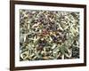 Close-Up of Olives Harvested at Frantoio Galantino, Bisceglie, Puglia, Italy-Michael Newton-Framed Photographic Print