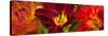 Close-Up of Orange Flowers-null-Stretched Canvas