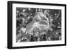 Close-up of orchid flowers, Sarasota, Florida, USA-Panoramic Images-Framed Photographic Print