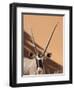 Close-Up of Oryx, Namib-Naukluft Park, Namibia, Africa-Wendy Kaveney-Framed Photographic Print