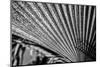 Close-Up of Palm leaves, California, USA-Panoramic Images-Mounted Photographic Print